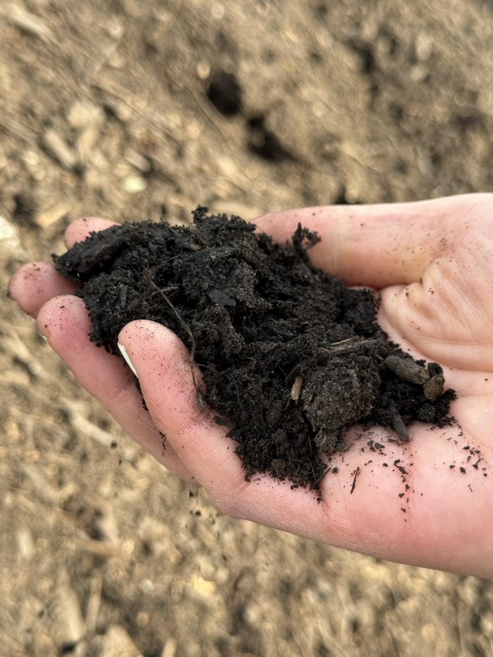 Close up of a hand holding a handful of soil