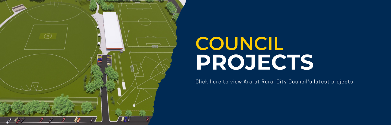 Council Projects