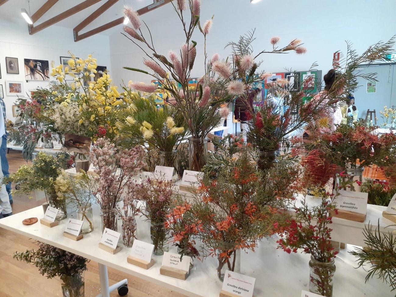 A display of native Australian plants on tables in an event space