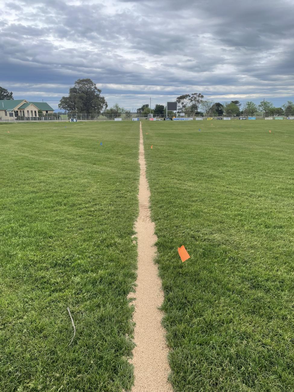 Large green oval for sports playing